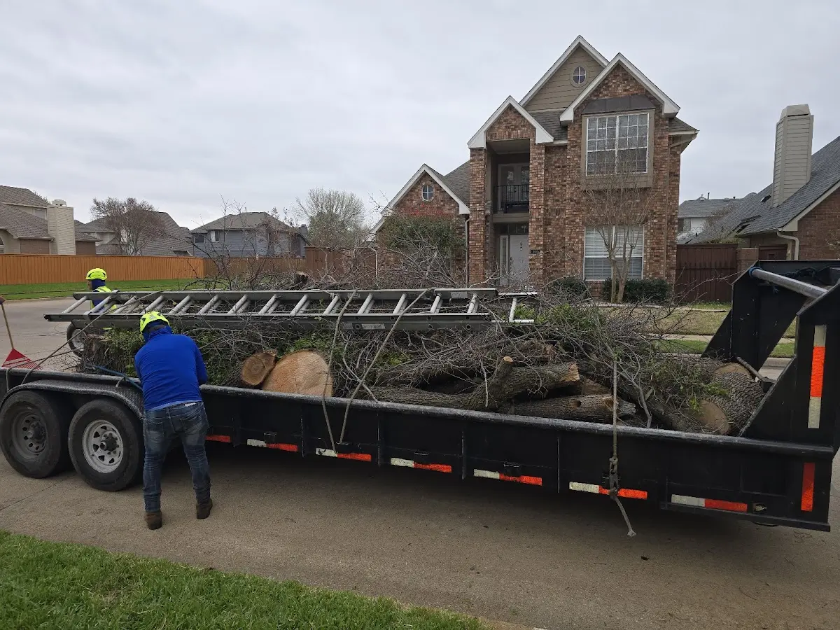 Expert Tree Pest Control with proper safety equipment in Cygnet